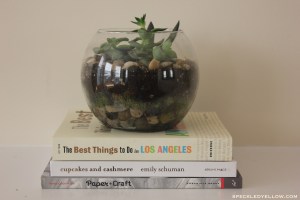 How To Style a Bookshelf 