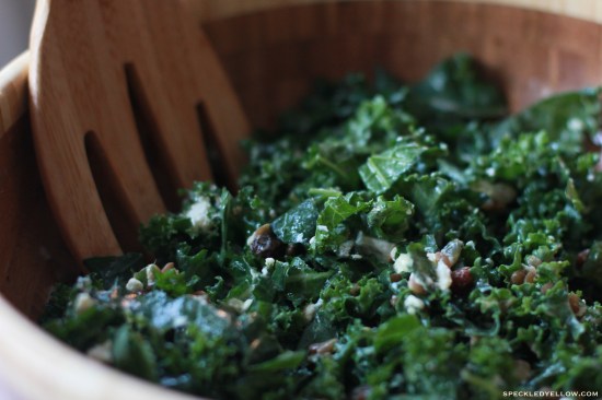 Kale Salad with Goat Cheese, Raisins, and Lentils in a Honey Dijon Dressing