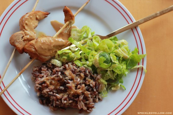 Broiled Asian Chicken Skewers with Peanut Ginger Sauce 